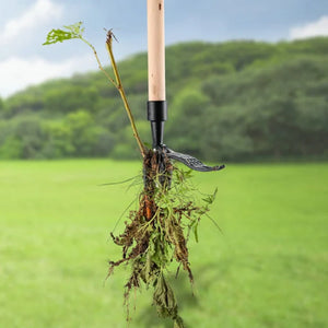 Nouvel arracheur amovible pour mauvaises herbes