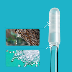 Bâton d'oreille collant(24 pièces)
