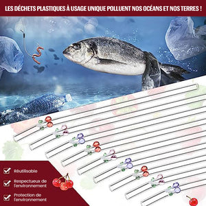 Pailles en Verre Teinté