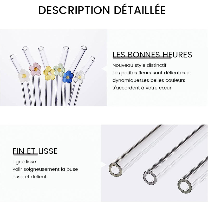 Pailles en Verre Teinté