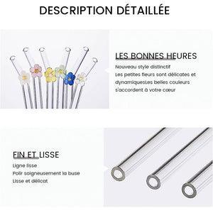 Pailles en Verre Teinté