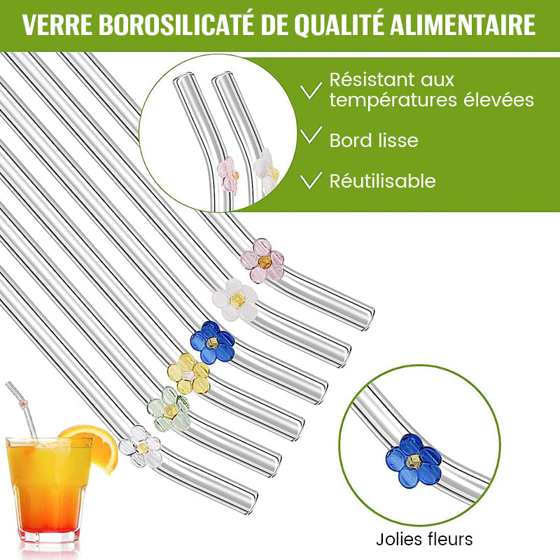 Pailles en Verre Teinté