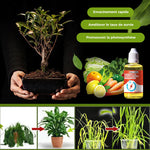 Suppléments promoteurs de croissance des plantes