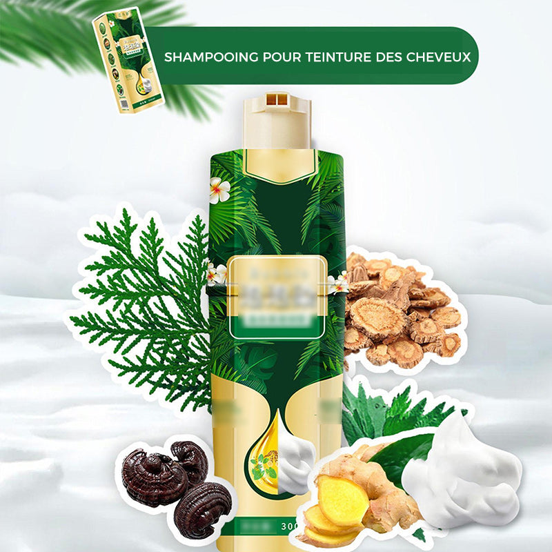 Shampooing de Bulles pour Coloration des Cheveux