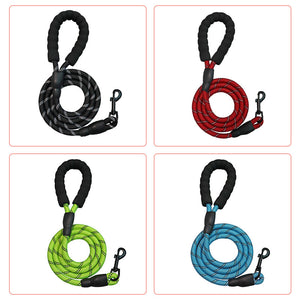 Kit de promenade 3 en 1 pour animal de compagnie