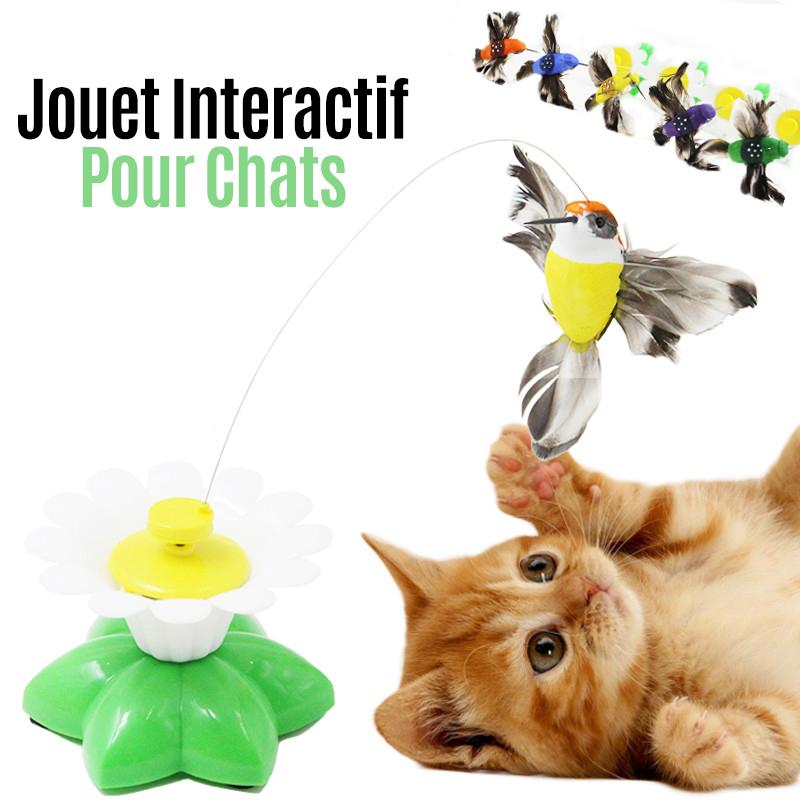 Jouet Interactif Pour Chats