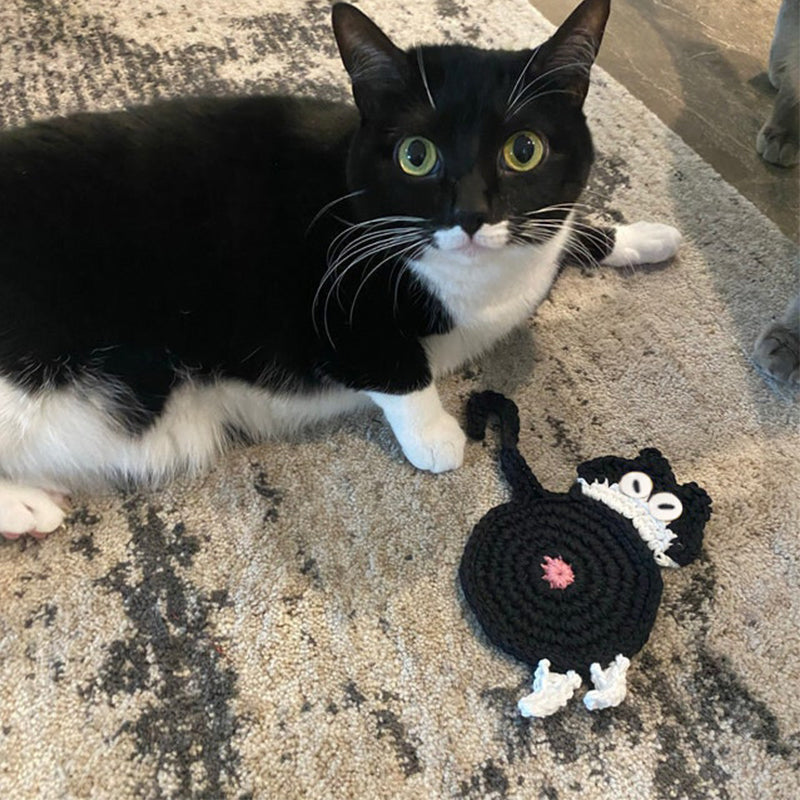 Dessous de Verre en Tricot de Cul de Chat Mignon