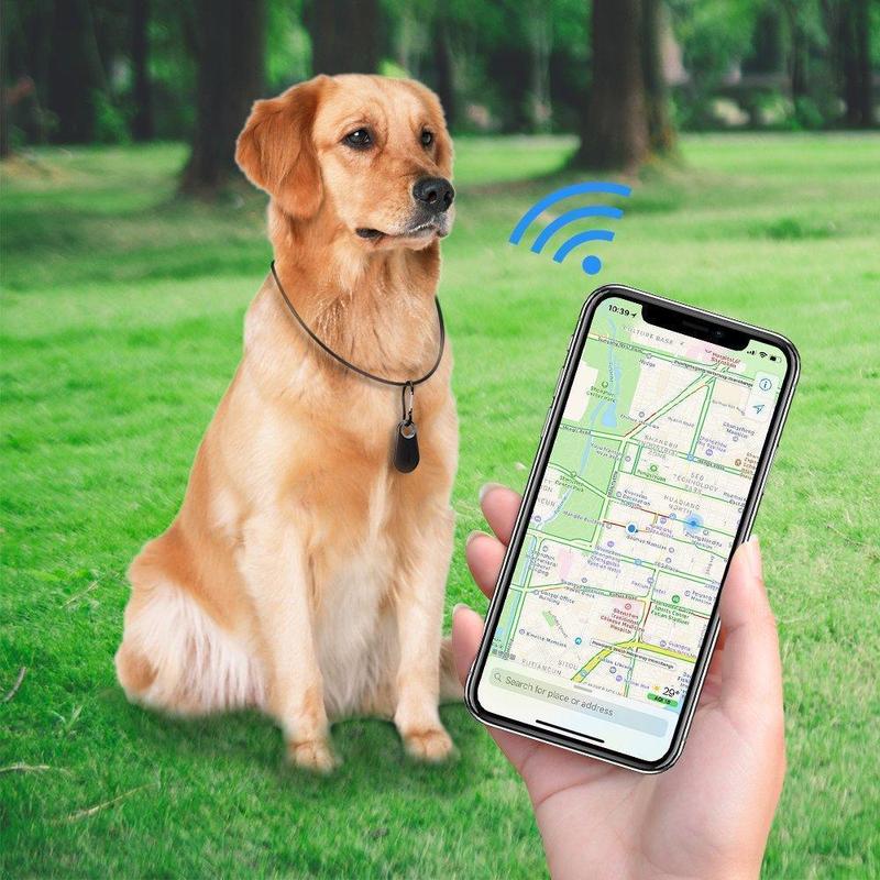 Ciaovie™ Traceur GPS Intelligent pour Animaux de Compagnie - ciaovie