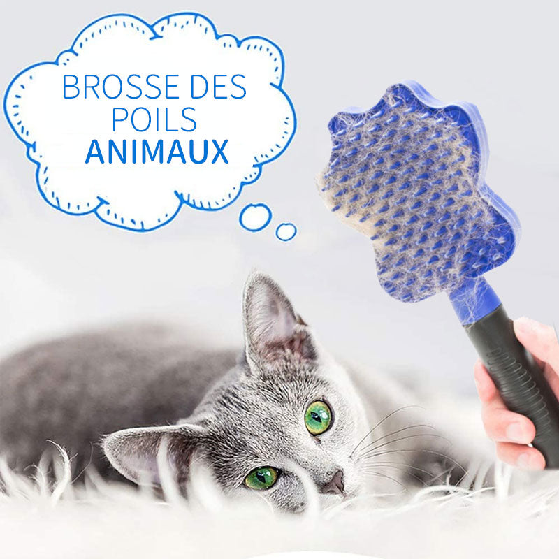 Brosse de Nettoyage pour Poils des Animaux, Brosse de Massage pour Animaux - ciaovie