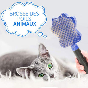 Brosse de Nettoyage pour Poils des Animaux, Brosse de Massage pour Animaux - ciaovie