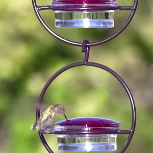 Mangeoire à colibri simple en métal