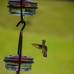 Mangeoire à colibri simple en métal