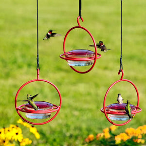 Mangeoire à colibri simple en métal