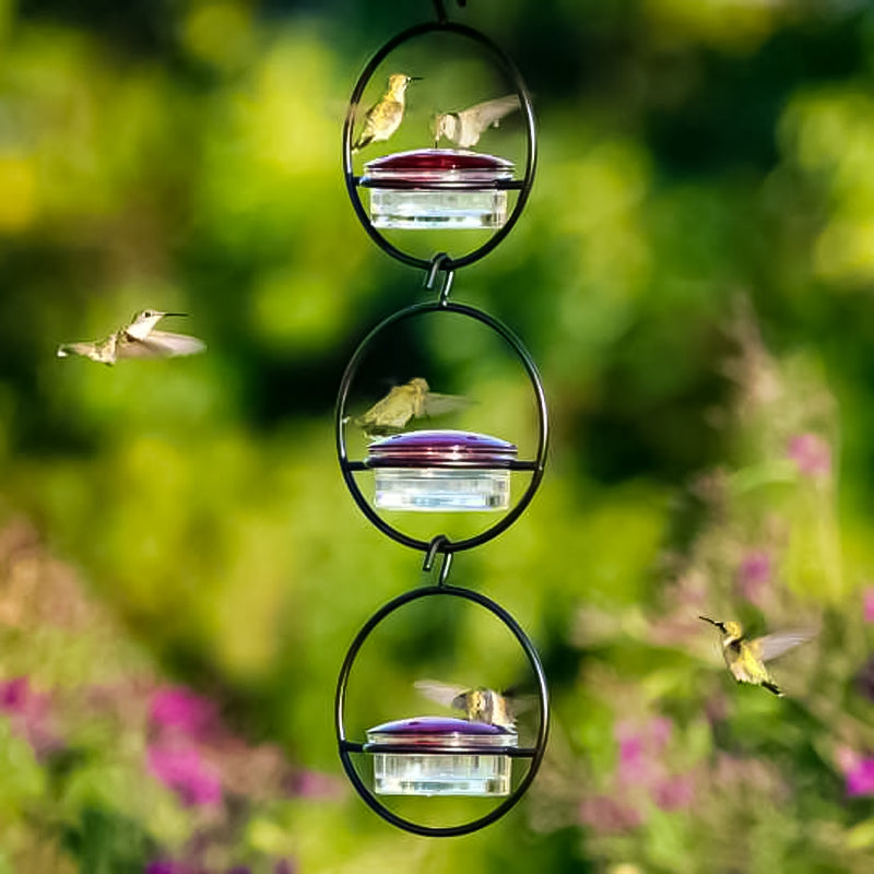 Mangeoire à colibri simple en métal