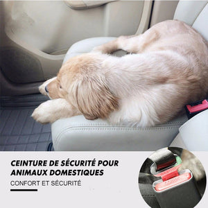 Ceinture de Sécurité Ajustable Pour Animaux de Compagnie