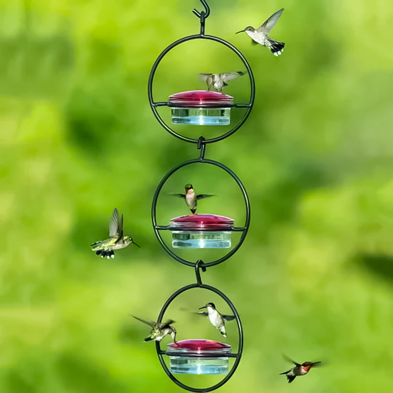 Mangeoire à colibri simple en métal