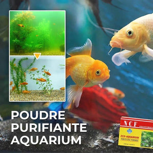 Poudre Purifiante pour Aquarium