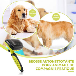 Ciaovie™ Brosse Nettoyante pour Animaux de Compagnie - ciaovie