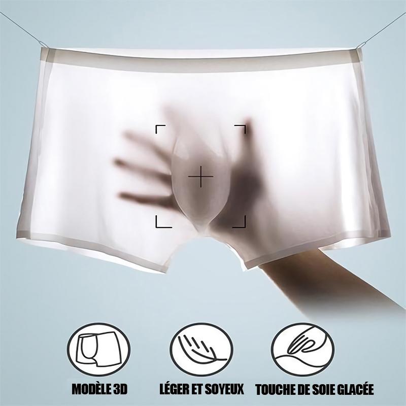 Ciaovie™ Sous-Vêtements Hommes en Soie Glacée - ciaovie