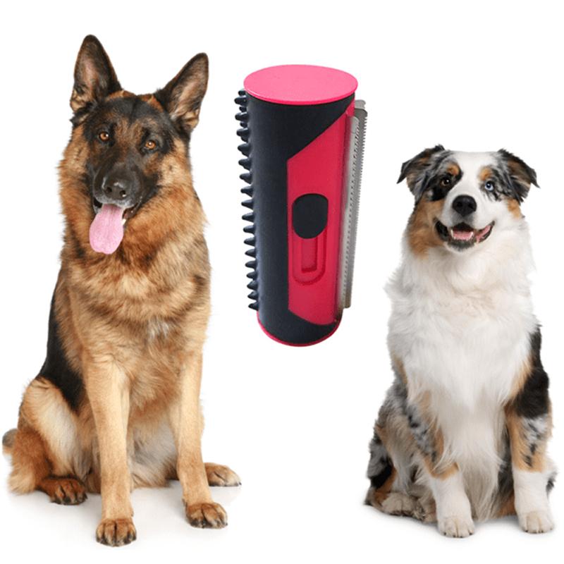 Brosse à Cheveux 2-en-1 pour Animaux de Compagnie