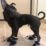 Ciaovie™ Bottes Antidérapants pour Chiens - ciaovie