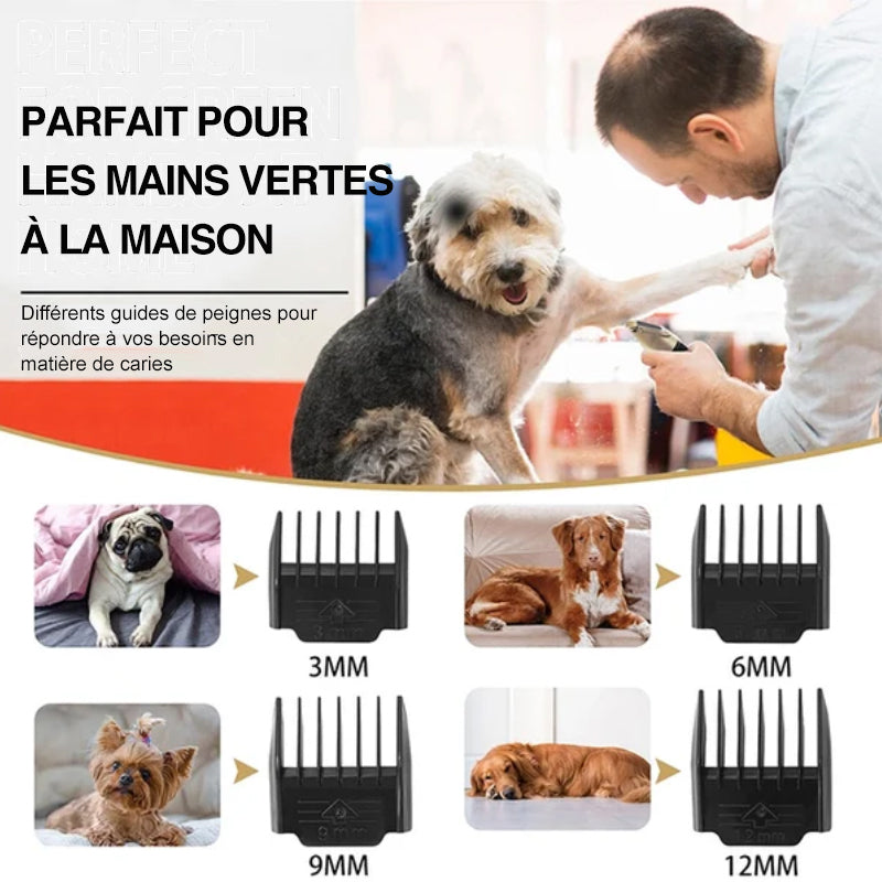 Kit de tondeuse professionnelle pour animaux de compagnie