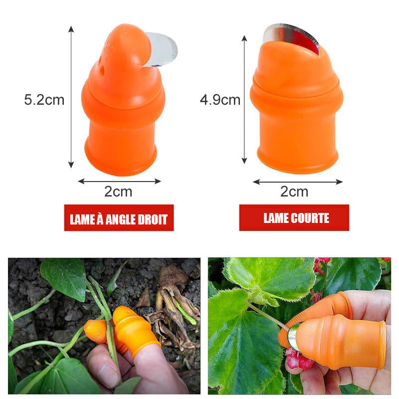 Couteau à Pouce pour Cueillir Légumes et Fruits - ciaovie