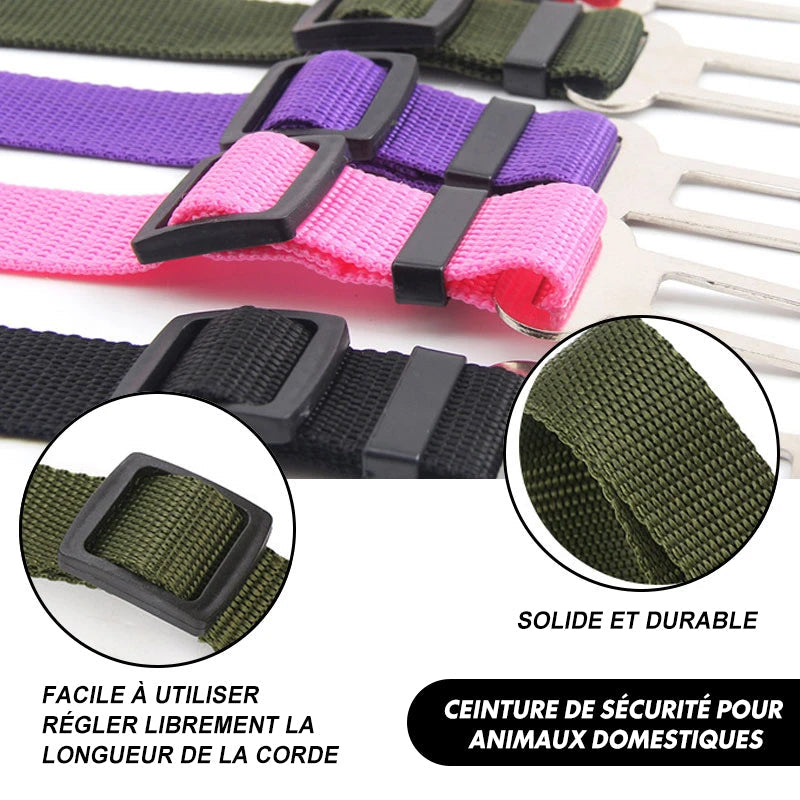 Ceinture de Sécurité Ajustable Pour Animaux de Compagnie