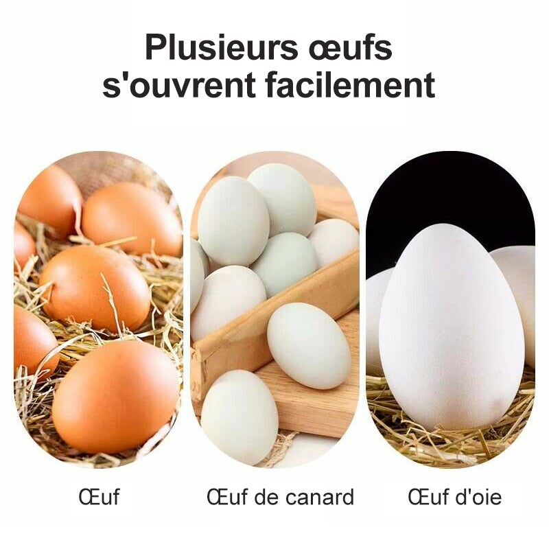 Ouvre-coquille d'Œuf