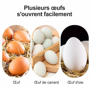 Ouvre-coquille d'Œuf