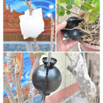 Capsule de Propagation des Plantes de la Couche d'Air