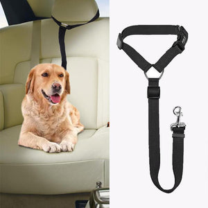 Laisse Réglable pour Chien Fixable sur le Siège Auto