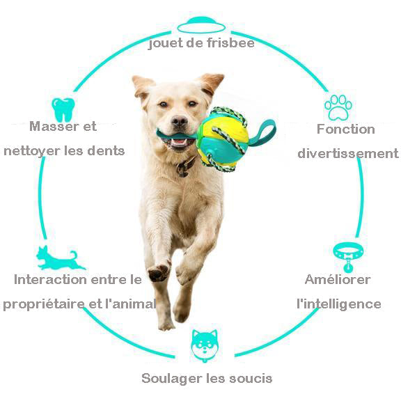 Balles de jouet pour chien Ufo Magic Ball