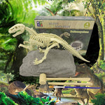 Jouet de Dinosaure Archéologique