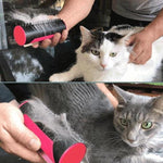 Brosse à Cheveux 2-en-1 pour Animaux de Compagnie