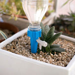 Système D'Arrossage Pour Plantes En Pot - ciaovie