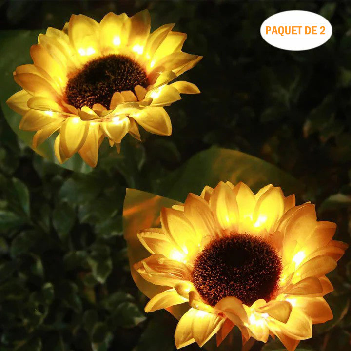 Solaire Tournesol Lumière，2pcs