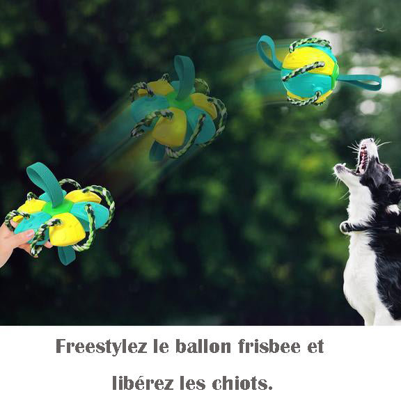 Balles de jouet pour chien Ufo Magic Ball