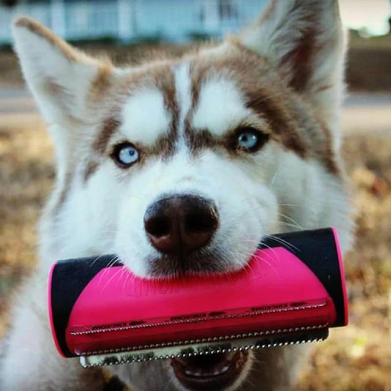Brosse Rétractable à 3 Lames Avec Poils en Caoutchouc
