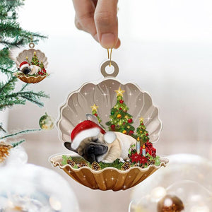 Pendentif De Coquillage NOËL Où Il y a Un Chien Mignon Qui Dort Dedans