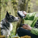 Laisse pour Chien 5 en 1 avec Bol d'Eau