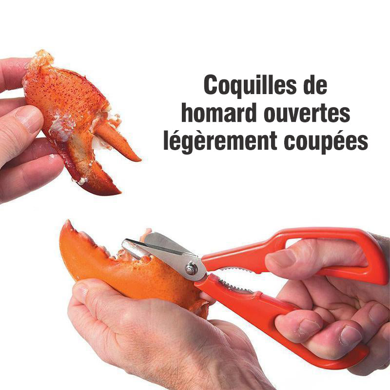 Ciseaux Multifonctionnels pour Homards