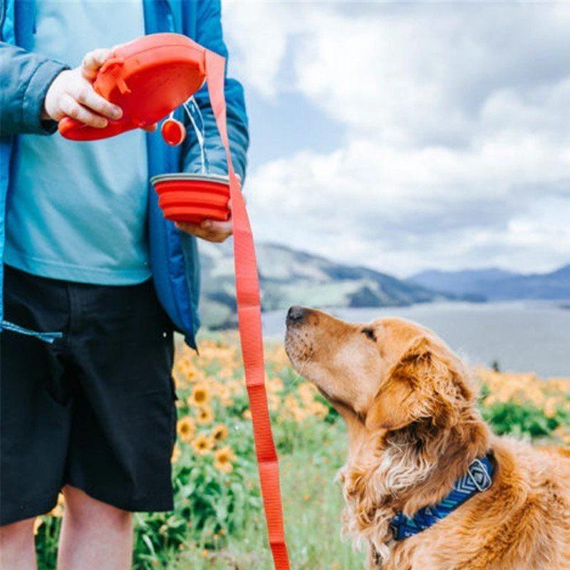 Laisse pour Chien 5 en 1 avec Bol d'Eau