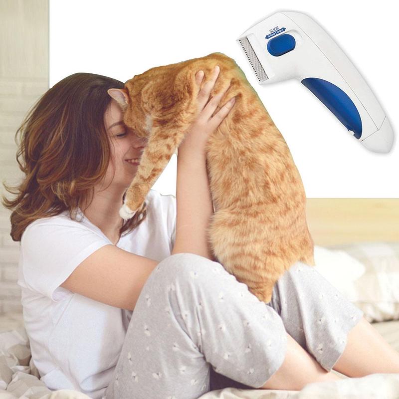 Ciaovie Dissolvant Électrique Pour Animaux Domestiques - ciaovie