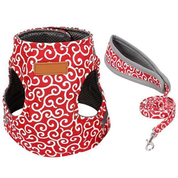 Veste de Harnais et Laisse pour Chat