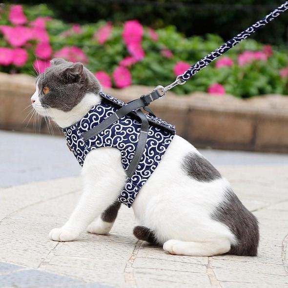 Veste de Harnais et Laisse pour Chat