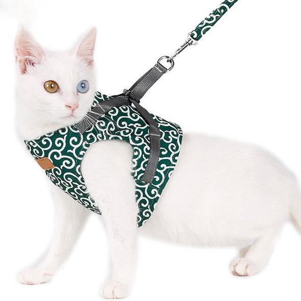 Veste de Harnais et Laisse pour Chat