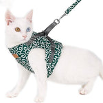 Veste de Harnais et Laisse pour Chat