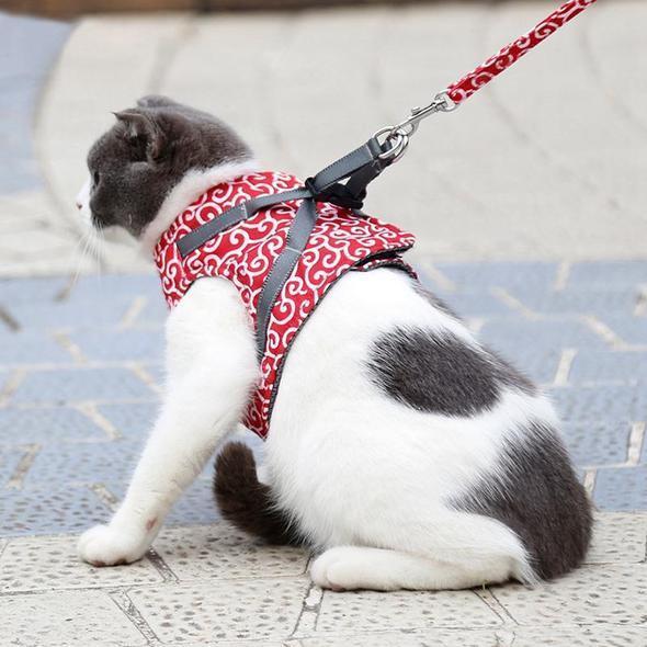 Veste de Harnais et Laisse pour Chat