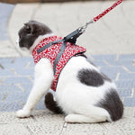 Veste de Harnais et Laisse pour Chat
